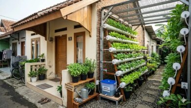 5 Tanaman Hidroponik Minimalis yang Bikin Ruangan Terlihat Mewah Tanpa Ribet