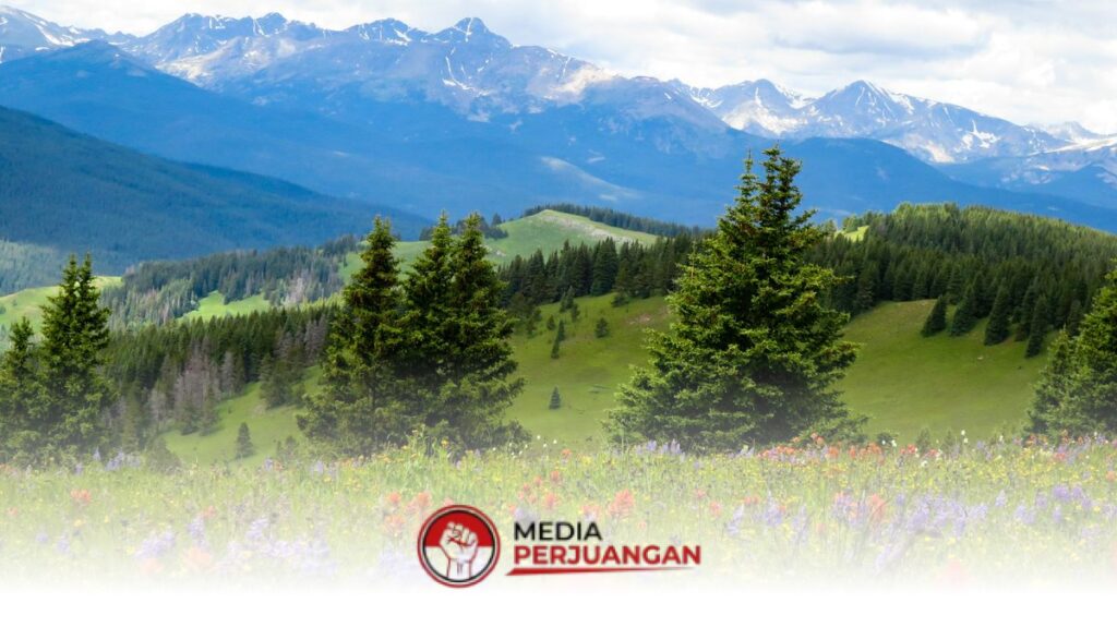 Cerah Mendominasi Jatim, Pagi Ini Kabut Tipis Hanya Mengintai 5 Wilayah