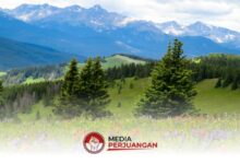 Cerah Mendominasi Jatim, Pagi Ini Kabut Tipis Hanya Mengintai 5 Wilayah