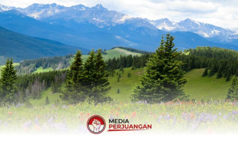 Cerah Mendominasi Jatim, Pagi Ini Kabut Tipis Hanya Mengintai 5 Wilayah