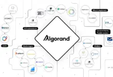 Algorand Siapkan Benteng Quantum, Konsensusnya Juga Ikut Dirombak