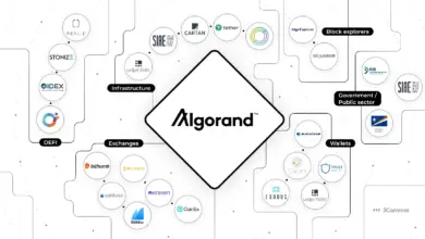 Algorand Siapkan Benteng Quantum, Konsensusnya Juga Ikut Dirombak