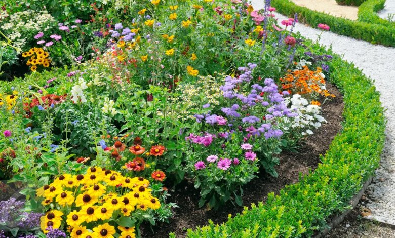 6 Tanaman Hias Outdoor Pembawa Rezeki, Cantik dan Bikin Depan Rumah Lebih Tenang