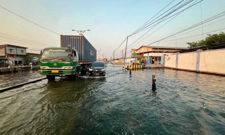 Pantura Kembali Siaga Rob, Semarang-Demak Jadi Titik Paling Rentan Hari Ini