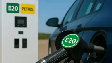 BPCL Bantah Semut Tertarik E20, Ini Penjelasan Soal Bioetanol