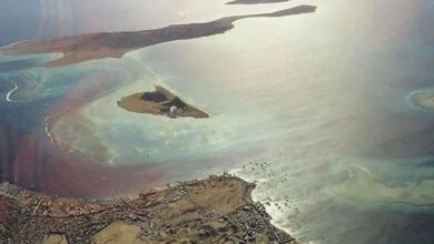 Selat Hormuz Mulai Pulih, Arus Kapal Naik Lagi Setelah Sempat Lesu