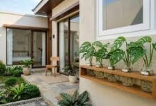 5 Tanaman Hidroponik Vas Minimalis yang Bikin Rumah Terlihat Rapi dan Mewah