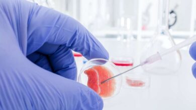 Stem Cell Makin Luas Dipakai, Dari Awet Muda hingga Sendi yang Sulit Pulih