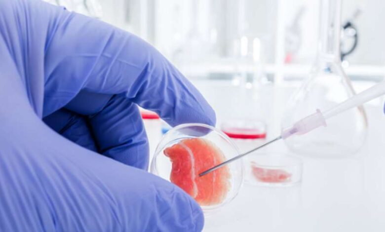 Stem Cell Makin Luas Dipakai, Dari Awet Muda hingga Sendi yang Sulit Pulih