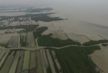 Pantura Jawa Makin Tenggelam, BRIN Ungkap 65,8% Garis Pantai Sudah Tergerus