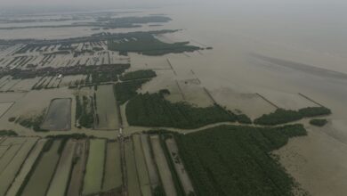 Pantura Jawa Makin Tenggelam, BRIN Ungkap 65,8% Garis Pantai Sudah Tergerus