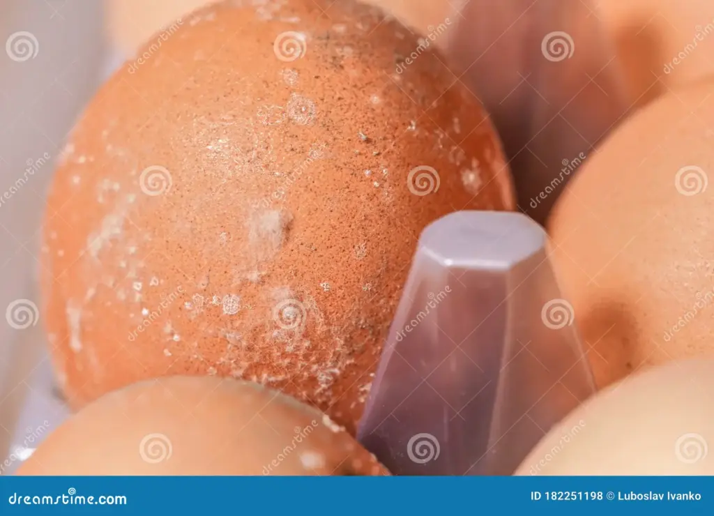 4 Tanda Telur di Kulkas Sudah Tak Layak Masak, Dari Bau hingga Warna Aneh