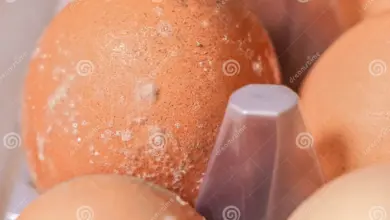 4 Tanda Telur di Kulkas Sudah Tak Layak Masak, Dari Bau hingga Warna Aneh