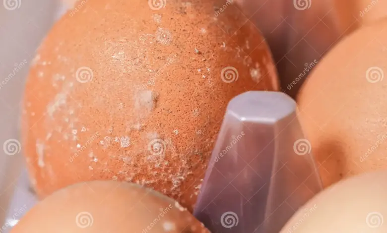 4 Tanda Telur di Kulkas Sudah Tak Layak Masak, Dari Bau hingga Warna Aneh