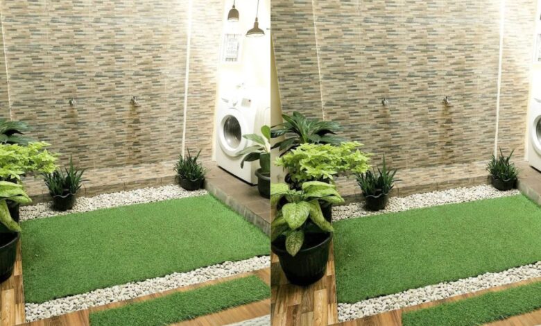 9 Desain Halaman Belakang Rumah Tipe 36 yang Bisa Jadi Lebih Produktif