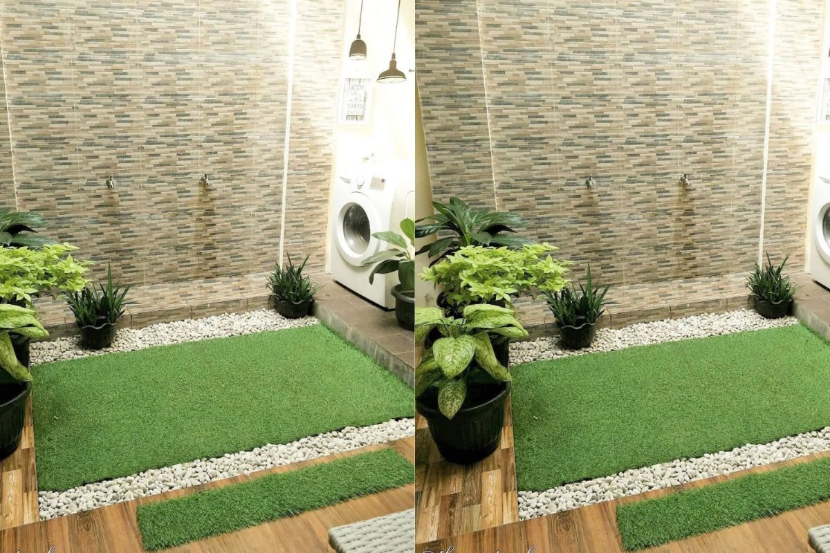 9 Desain Halaman Belakang Rumah Tipe 36 yang Bisa Jadi Lebih Produktif