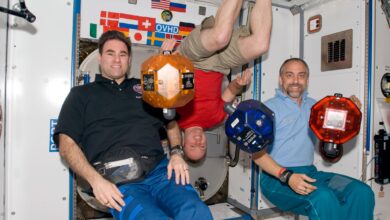Ultima Bisa Kembali ke Tangan Richard Garriott, EA Masih Pegang Satu Kunci Penting