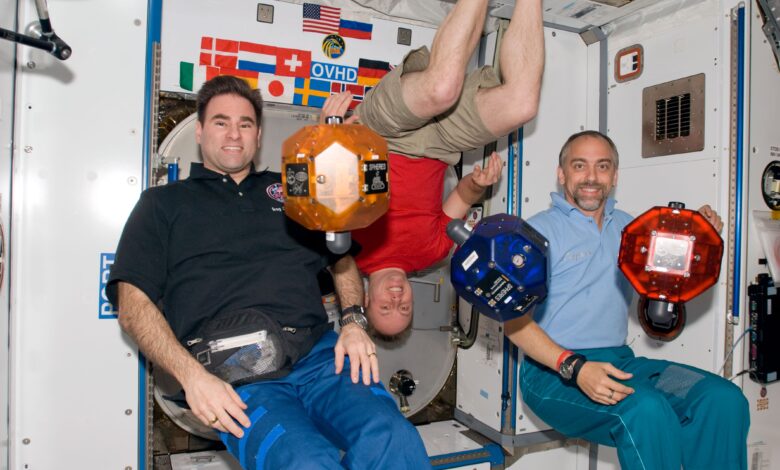 Ultima Bisa Kembali ke Tangan Richard Garriott, EA Masih Pegang Satu Kunci Penting