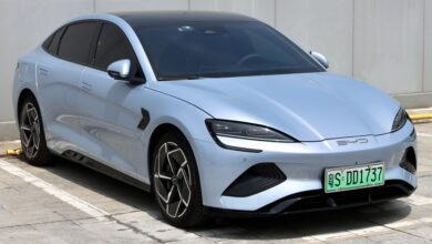 BYD Menahan Impor Besar-Besaran, Angka MG Motor Ternyata Jauh Lebih Kecil