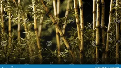 6 Prompt Gemini AI di Hutan Bambu, Foto Dramatis yang Tetap Terlihat Asli