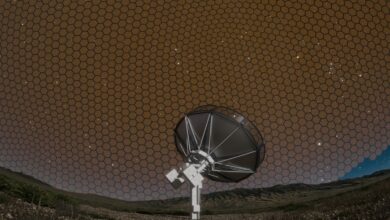 Deep Synoptic Array Siap Memetakan Langit, 1.650 Antena untuk Buru Misteri Kosmik