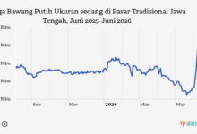 Bawang Putih di Jawa Tengah Kembali Naik, Tembus Rp39,15 Ribu per Kg