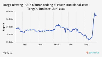 Bawang Putih di Jawa Tengah Kembali Naik, Tembus Rp39,15 Ribu per Kg