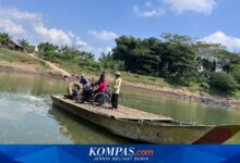 Tarif Rp 5.000, Rakit Bambu Citanduy Jadi Jalan Pintas Lintas Jawa yang Sulit Ditolak