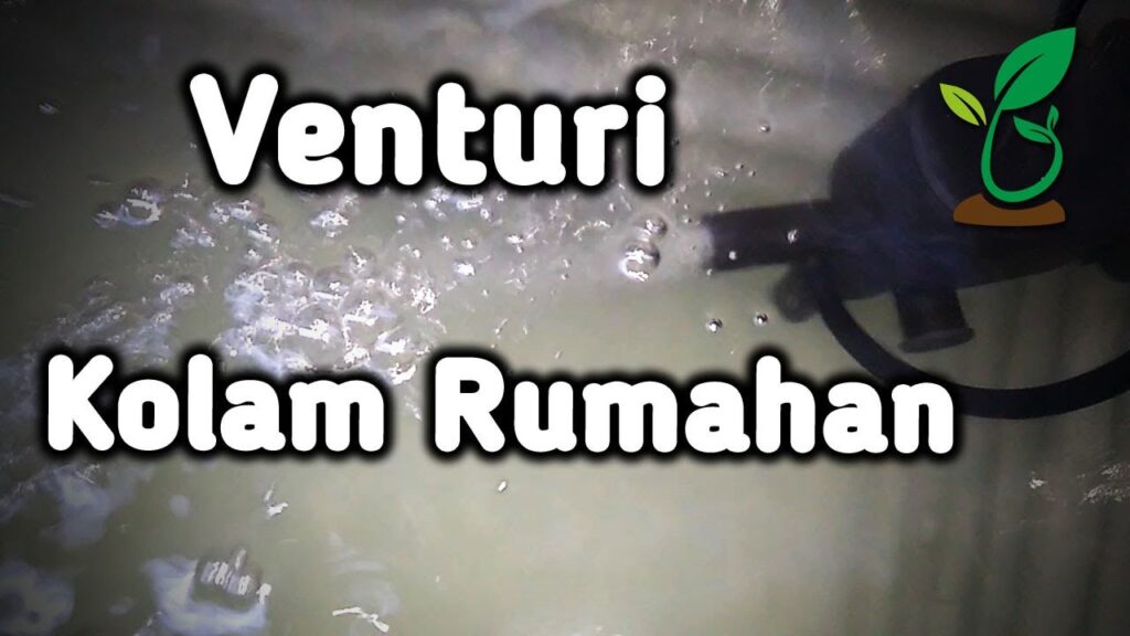 Aerasi Venturi Rumahan Bikin Oksigen Kolam Gabus Lebih Stabil, Rakitnya Sederhana