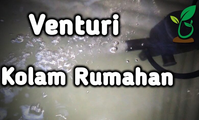 Aerasi Venturi Rumahan Bikin Oksigen Kolam Gabus Lebih Stabil, Rakitnya Sederhana