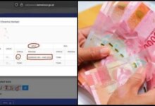 Cara Cek Status BPNT 2026 dari HP, Nama dan Status Cair Bisa Langsung Tampil