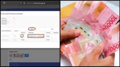 Cara Cek Status BPNT 2026 dari HP, Nama dan Status Cair Bisa Langsung Tampil