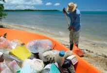 Smartphone Premium Kini Bisa Lahir dari Sampah Laut, Tren yang Mulai Dipilih Produsen