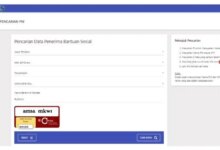 Cara Cek Status PKH Online, Cukup Lewat Aplikasi atau Website Kemensos