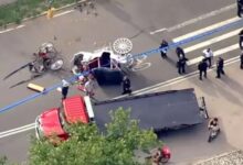Tragedi Kereta Kuda di Central Park, Turis India 18 Tahun Tewas Setelah Kusir Diduga Lalai