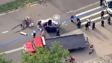 Tragedi Kereta Kuda di Central Park, Turis India 18 Tahun Tewas Setelah Kusir Diduga Lalai