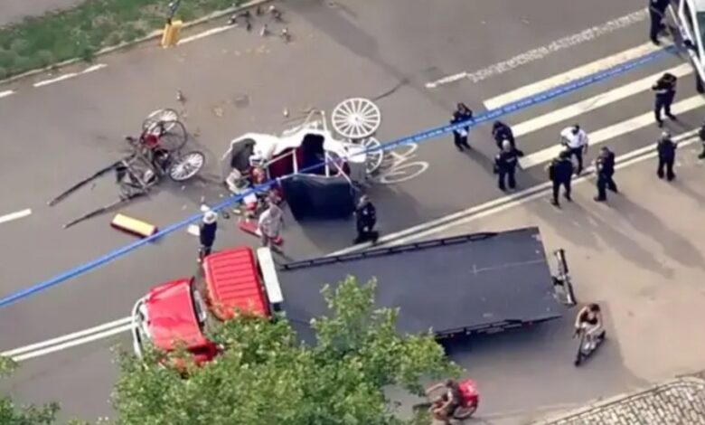 Tragedi Kereta Kuda di Central Park, Turis India 18 Tahun Tewas Setelah Kusir Diduga Lalai