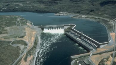 Pembangkit Listrik Tanpa Bendungan di Rhein, Sungai Tetap Mengalir dan Ikan Lebih Aman