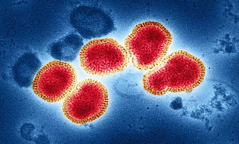 523 Suspek Flu Singapura Tersebar di 16 Daerah Sumsel, Palembang Paling Tinggi
