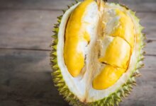 Rahasia Petani Wonosobo Rawat Durian, Bisa Panen 2 Kali Setahun