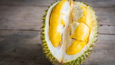 Rahasia Petani Wonosobo Rawat Durian, Bisa Panen 2 Kali Setahun