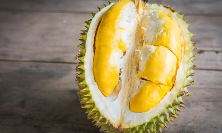 Rahasia Petani Wonosobo Rawat Durian, Bisa Panen 2 Kali Setahun