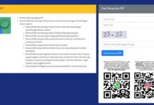 Cara Cek Status PIP Juni 2026, Dana Termin II Masih Bergulir