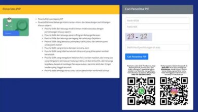 Cara Cek Status PIP Juni 2026, Dana Termin II Masih Bergulir