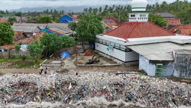 4 Culture Shock Do Ji Ui di Pyeondongdo, Ular Sampai Hidupnya Diawasi Warga