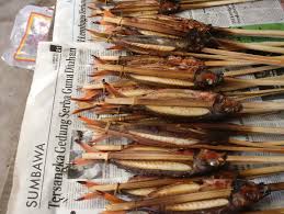 7 Ikan Incaran Rumah Makan, dari Lele Murah sampai Kerapu Premium