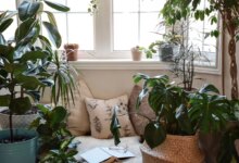 6 Tanaman Feng Shui Favorit yang Bikin Rumah Terasa Lebih Damai dan Segar