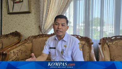228 Ribu Lolos SPMB Jateng, Daftar Ulang Hanya Sampai 25 Juni