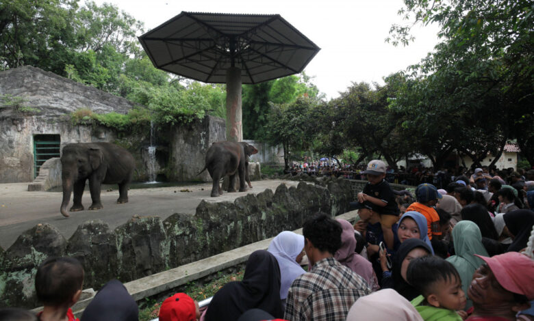 11 Destinasi Jakarta Bisa Masuk Gratis Hari Ini, Ragunan hingga 11 Museum
