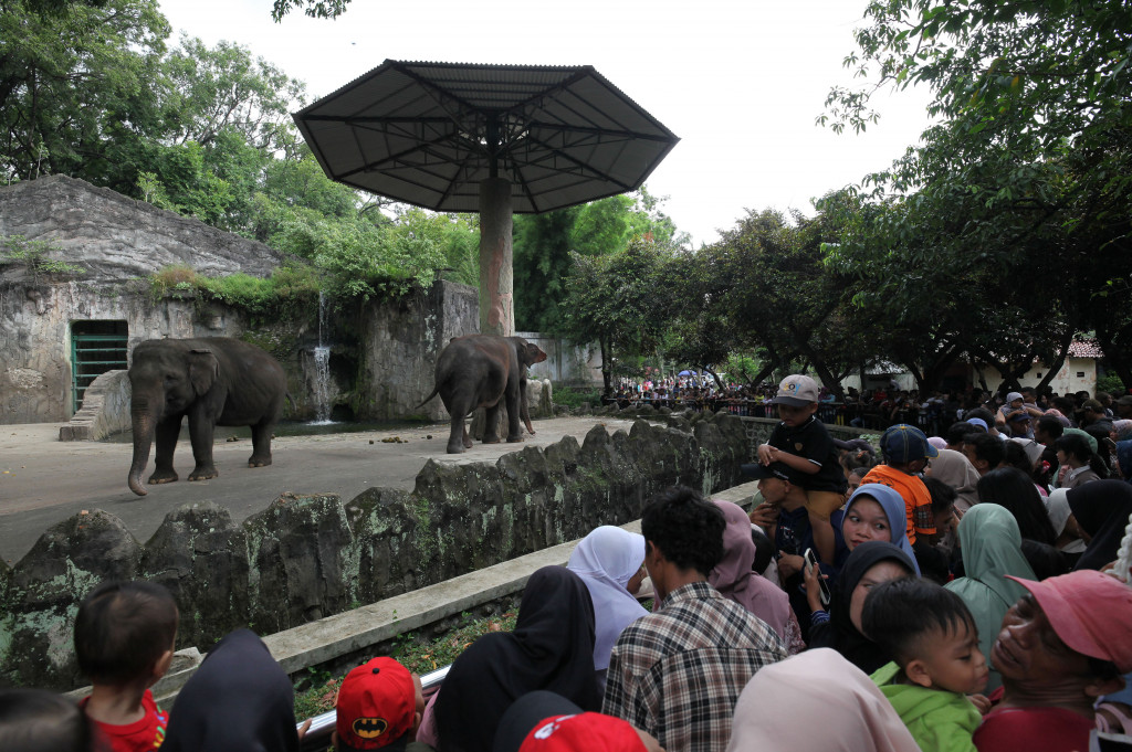 11 Destinasi Jakarta Bisa Masuk Gratis Hari Ini, Ragunan hingga 11 Museum